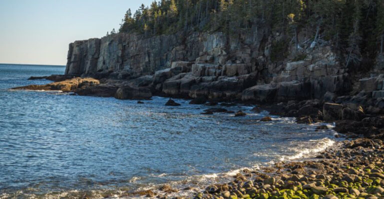 Why Maine’s Rocky Coast And Fast-Moving Tides Change Dog Beach Safety