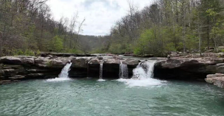 15 Arkansas Swimming Holes And Lake Spots To Explore With Your Dog
