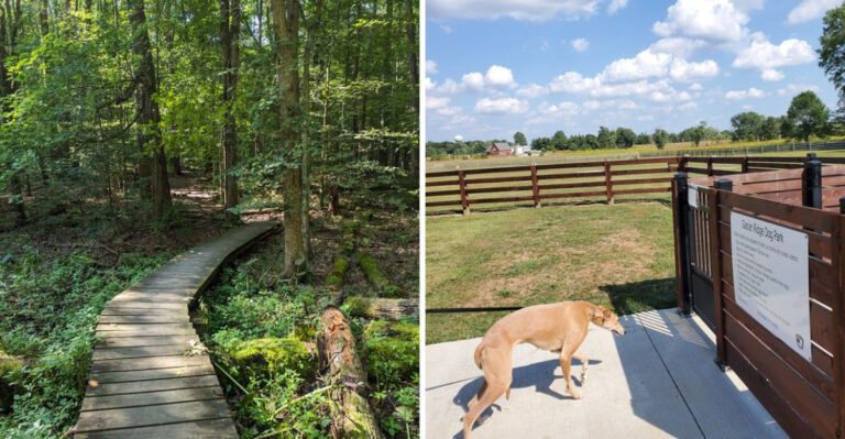 15 Hidden Ohio Dog Spots Most Locals Have Never Found