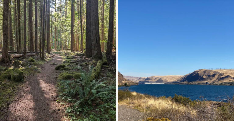 17 Washington Weekend Escapes That Give Dogs Plenty Of Room To Explore