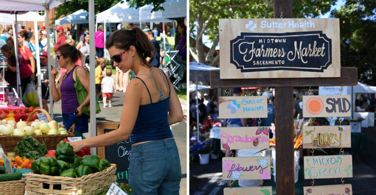 16 California Farmers Markets Where Dogs Are Always Welcome
