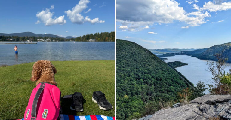 17 New York Day Trips That Are More Fun With A Dog Along