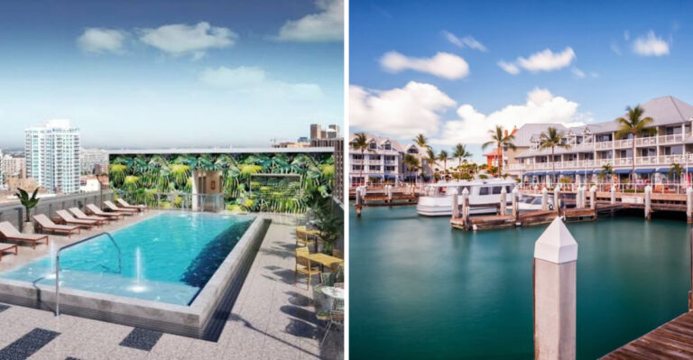 19 Dog-Friendly Hotels in Florida Worth Booking