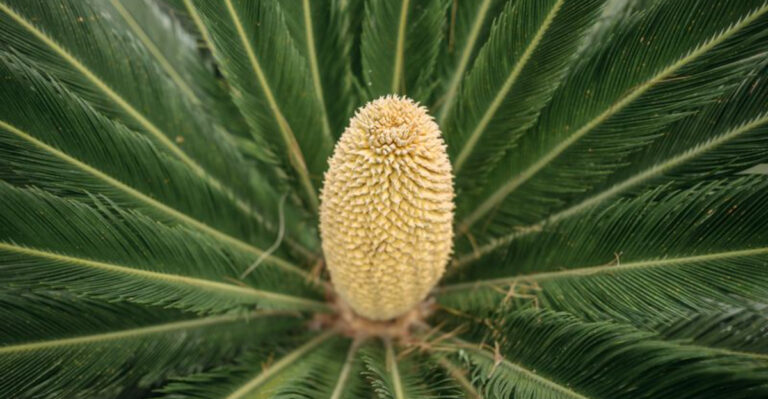 12 Backyard Plants in Pennsylvania That Spell Trouble for Dogs