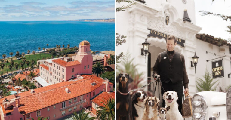 15 California Hotels That Treat Your Dog Better Than You