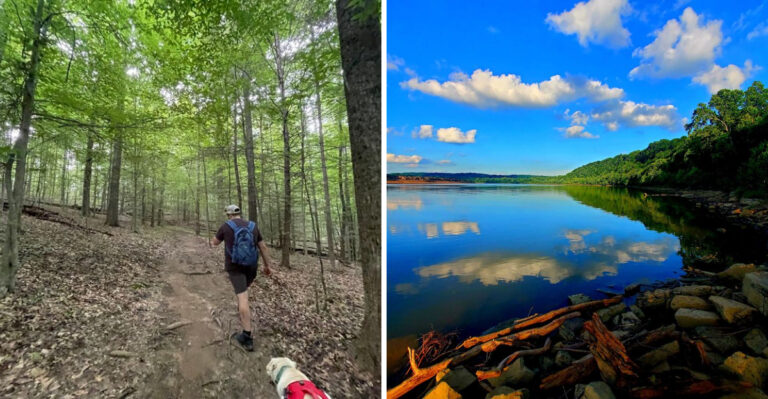 16 Kentucky Outdoor Adventures To Try With Your Dog