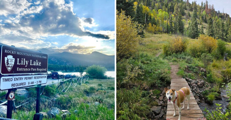 18 Shady Colorado Trails That Keep Dogs Cool on Hot Days