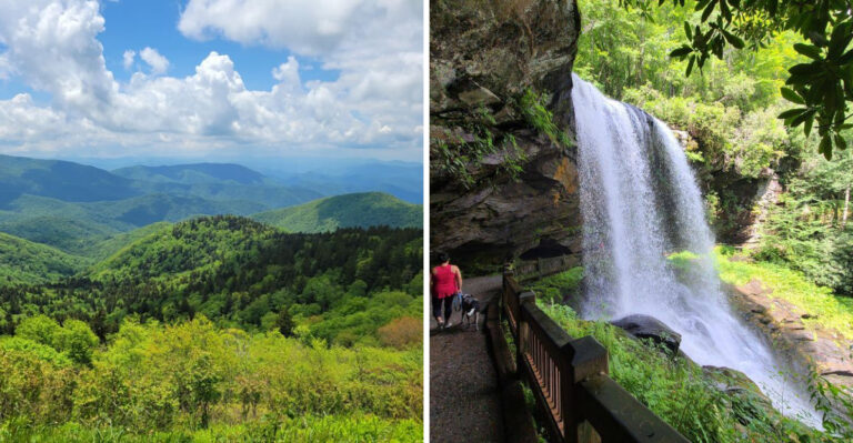 18 Best Small Towns In North Carolina For Dog Lovers
