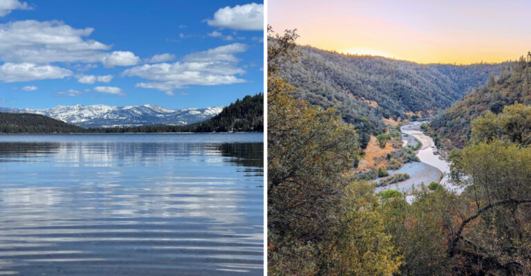 18 California Weekend Escapes With Plenty Of Room For Dogs To Explore