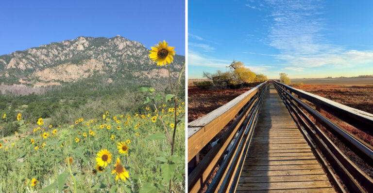 15 Colorado Trails Where Dogs Need To Stay Leashed Around Wildlife