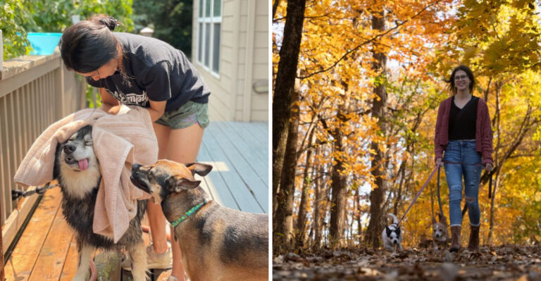 What Tennessee Dog Owners Should Know About Ticks, Snakes, Heat, And Trail Season