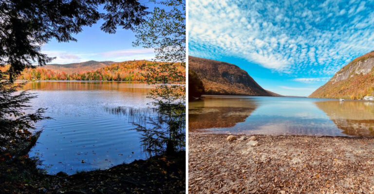 16 Vermont Road Trips Perfect For Dogs That Love Woods, Water, And Small Towns