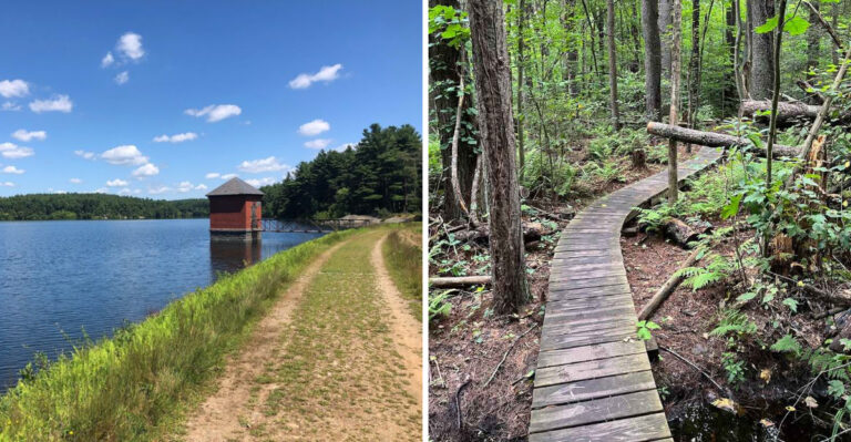 17 Massachusetts Weekend Escapes For Dogs That Need A Change From City Walks