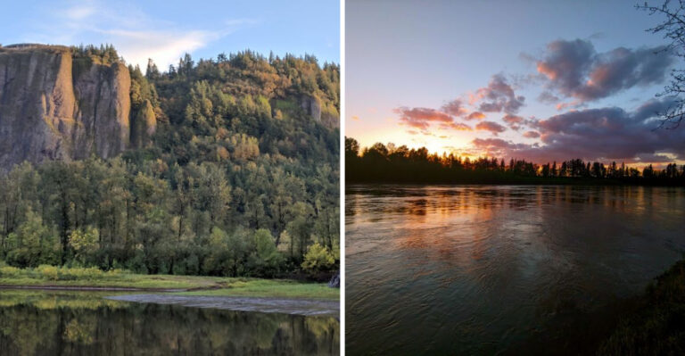 19 Oregon Adventures For Dogs That Would Spend Every Weekend Outside