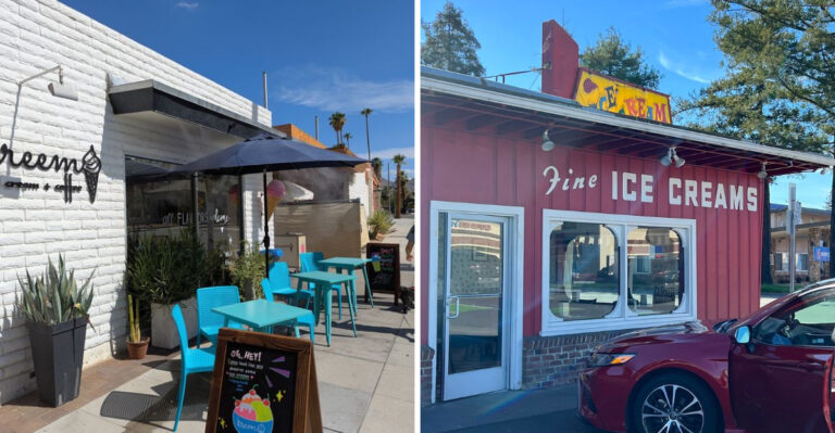 15 Dog-Friendly Ice Cream Stops in California for Hot Days