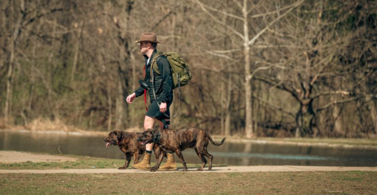 15 Things Florida Dog Owners Should Know Before Visiting A Natural Spring With A Dog