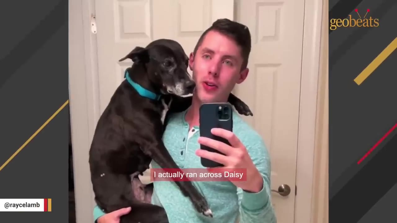 A man in a green shirt holds a black dog with a blue collar while taking a mirror selfie.