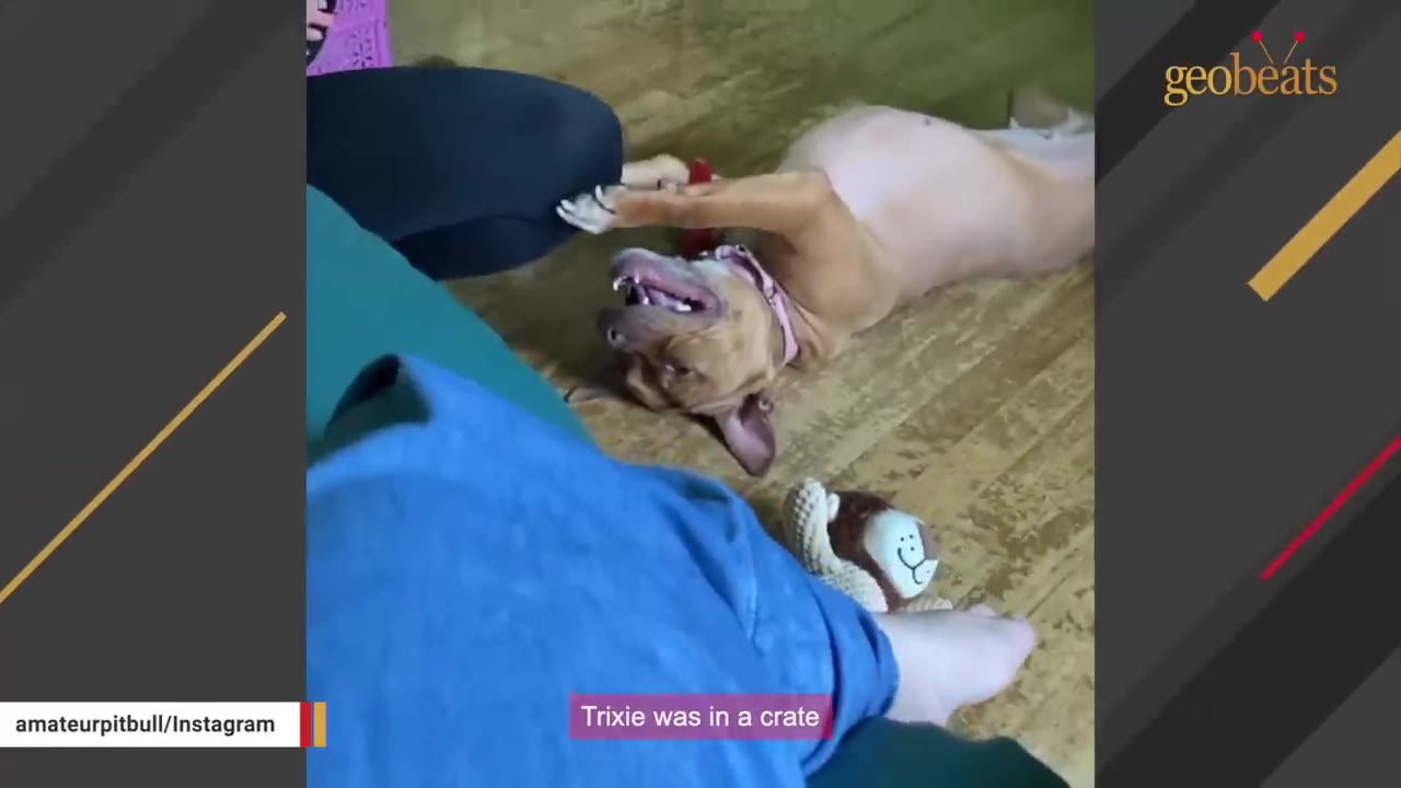 Video frame for A Heartbreaking Discovery