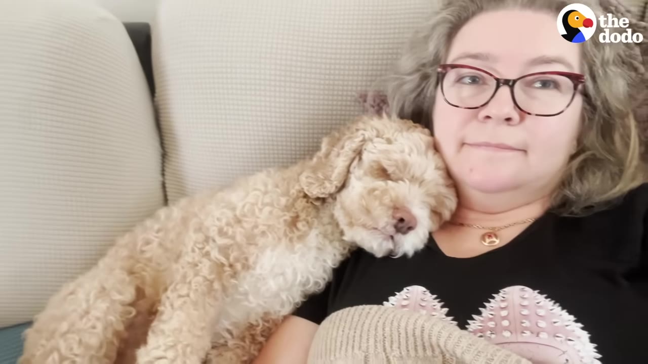A woman with glasses lies on a couch while a small, light brown curly-haired dog rests its head on her chest.