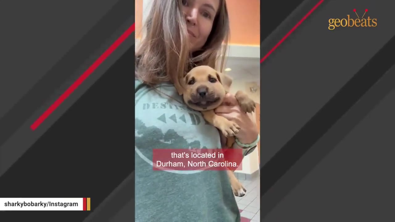 A woman smiling as she holds a small, light brown puppy close to her chest.