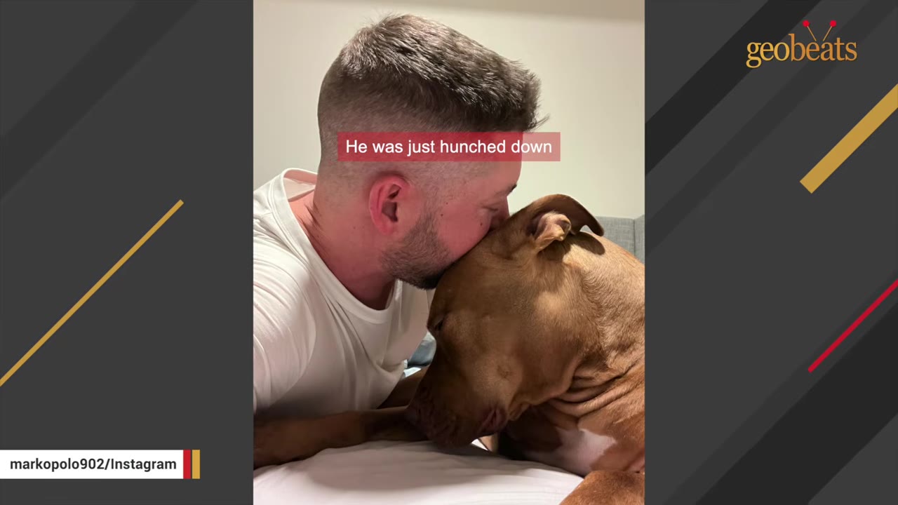 A man in a white t-shirt gently rests his forehead against the head of a sad-looking brown dog lying down.