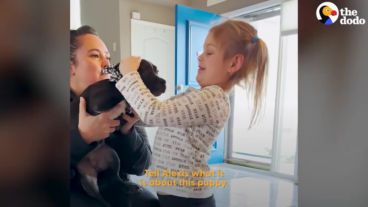 A young girl with a limb difference on her left arm smiles as she reaches out to pet a black puppy held by a woman.