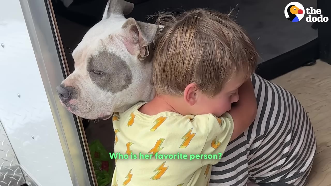 A young boy in a yellow shirt with lightning bolts hugs a white and grey dog, with text on screen reading 'Who is her favorite person?'