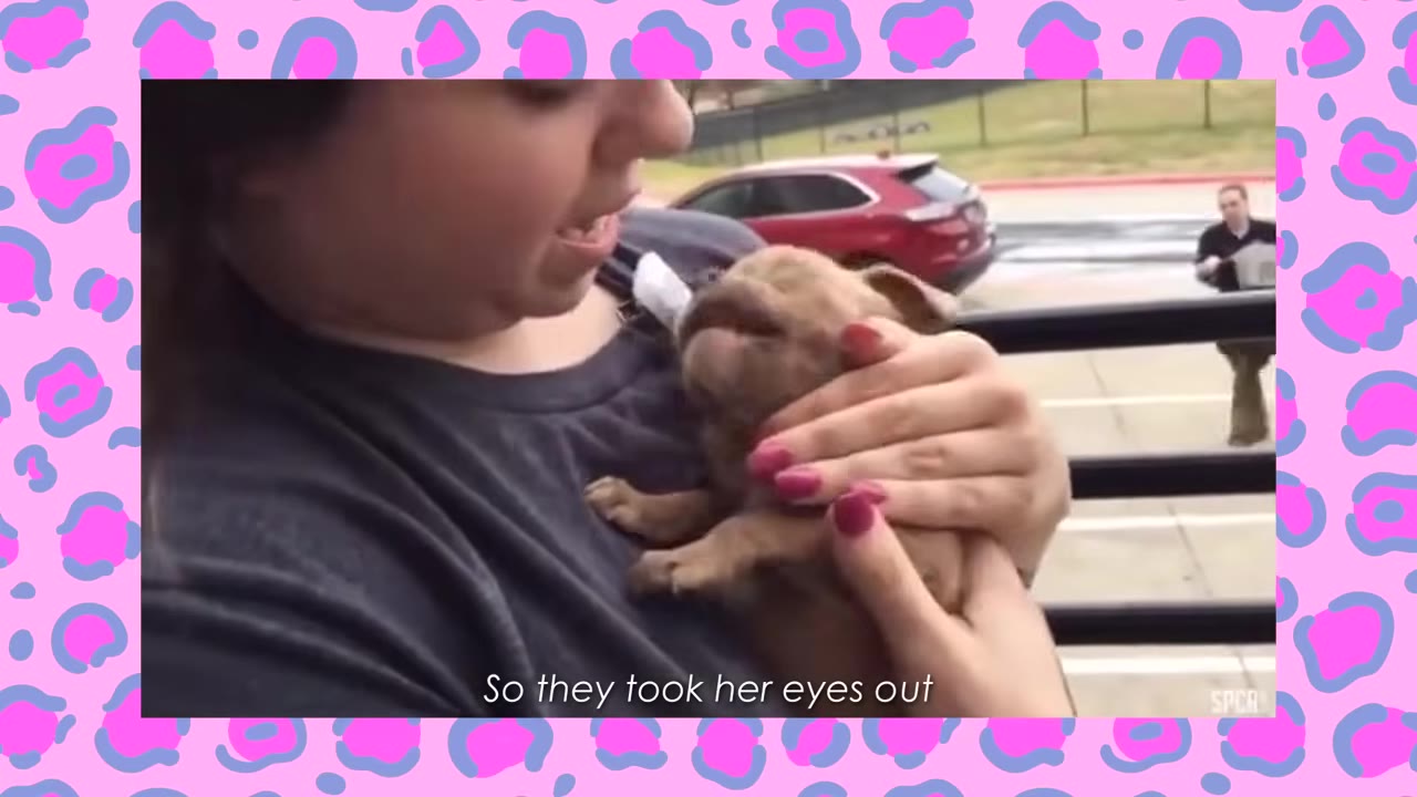 A close-up of a person cradling a small brown puppy with closed, empty eye sockets, with the subtitle 'So they took her eyes out' at the bottom.