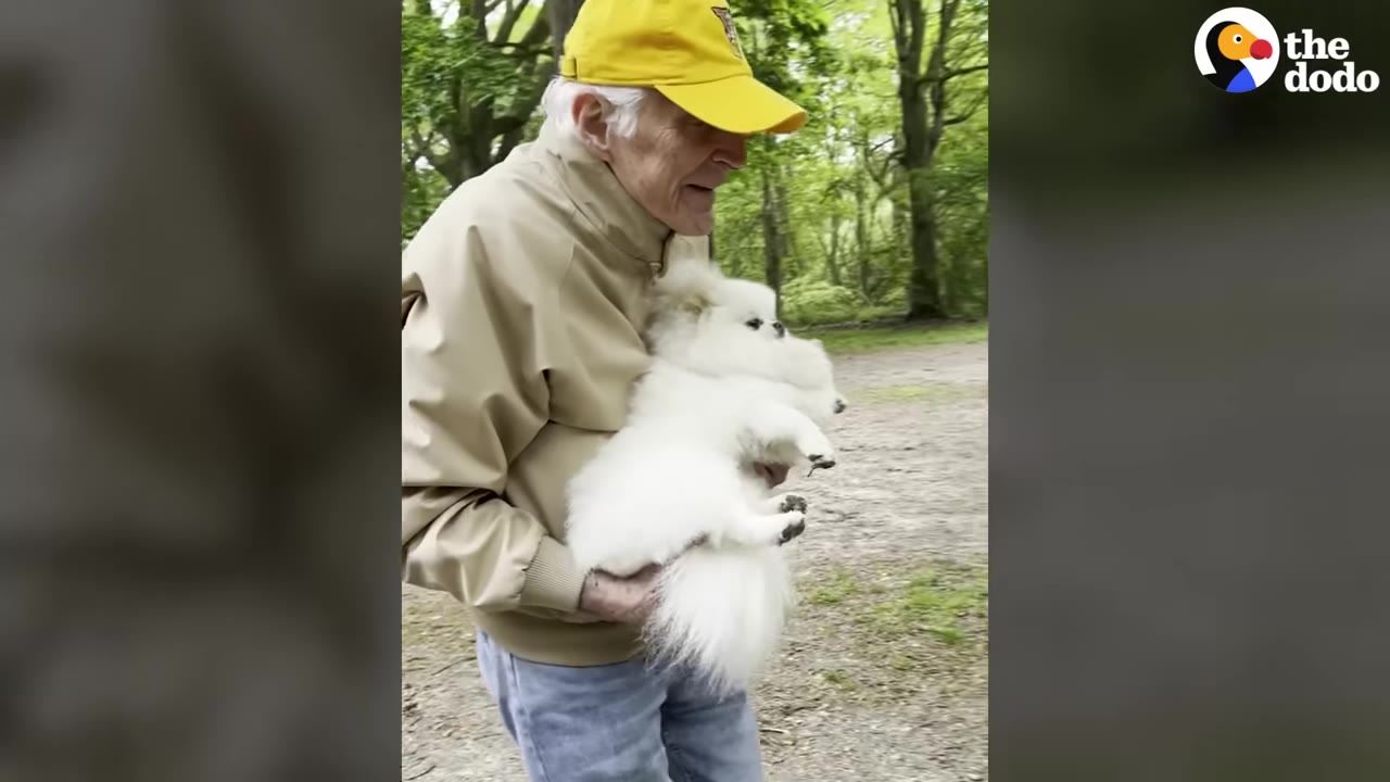 An elderly man wearing a yellow cap and beige jacket cradles a small, fluffy white dog in his arms while walking outdoors.