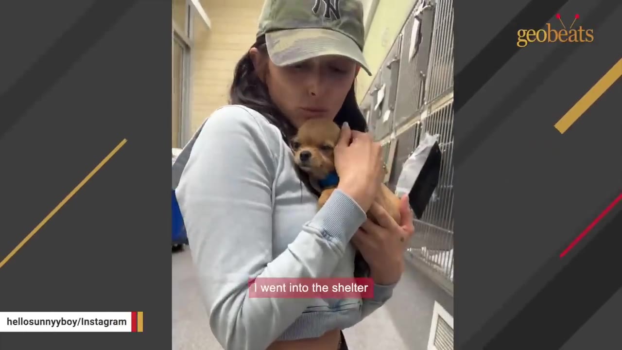 A woman wearing a camouflage baseball cap and a light grey sweatshirt holds a small tan chihuahua puppy close to her chest inside an animal shelter.