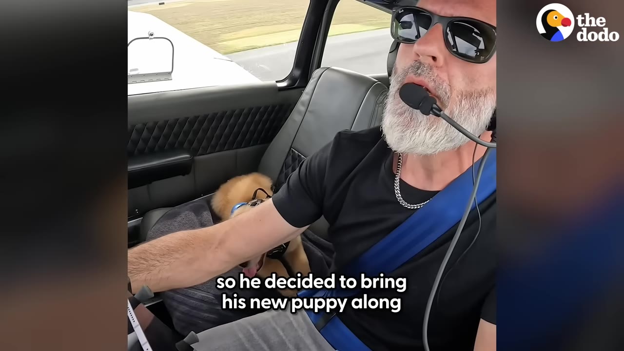 A man with a grey beard, wearing sunglasses and a pilot headset, sits in the cockpit of a small airplane with a golden puppy beside him.