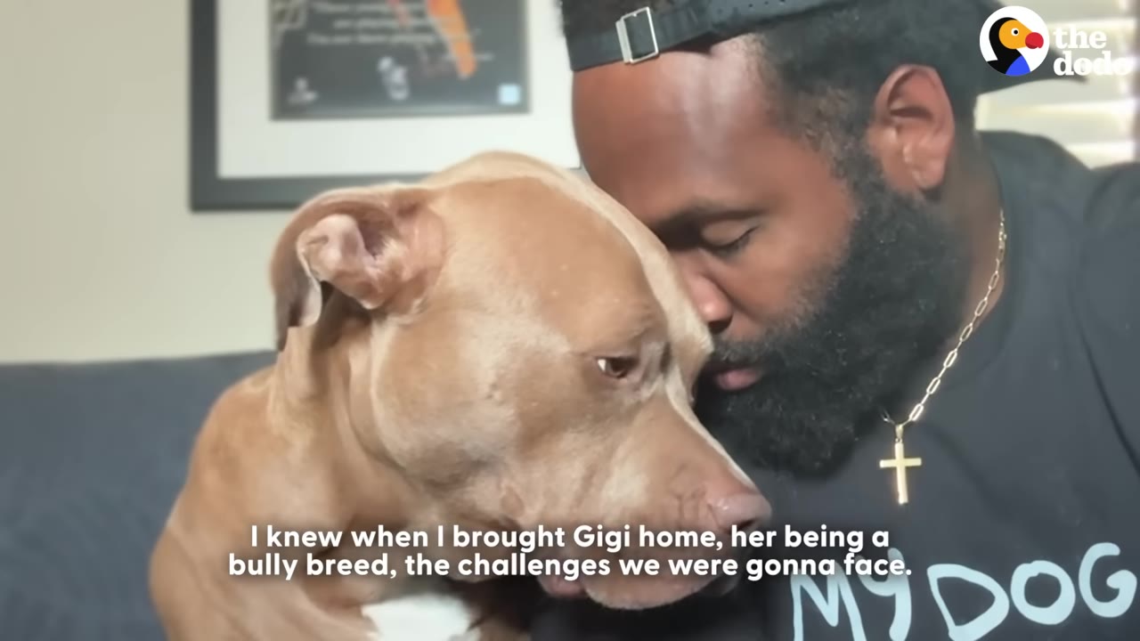 A close-up shot of a bearded man resting his forehead against a light brown pit bull-type dog, with subtitles reading 'I knew when I brought Gigi home, her being a bully breed, the challenges we were gonna face.'