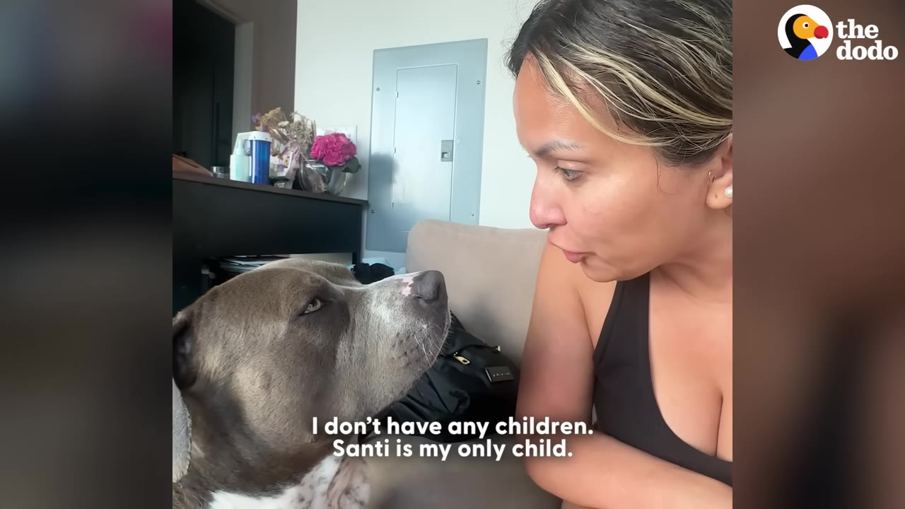 A woman looks lovingly at her pit bull-type dog, Santi, as they sit together on a couch, with text overlay reading 'I don't have any children. Santi is my only child.'