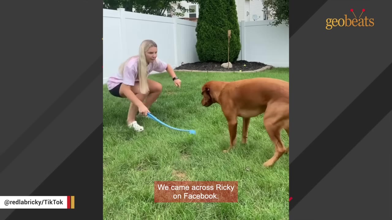 A young woman with long blonde hair crouches on a green lawn next to a brown dog, holding a blue ball thrower, with a text overlay that reads 'We came across Ricky on Facebook.'