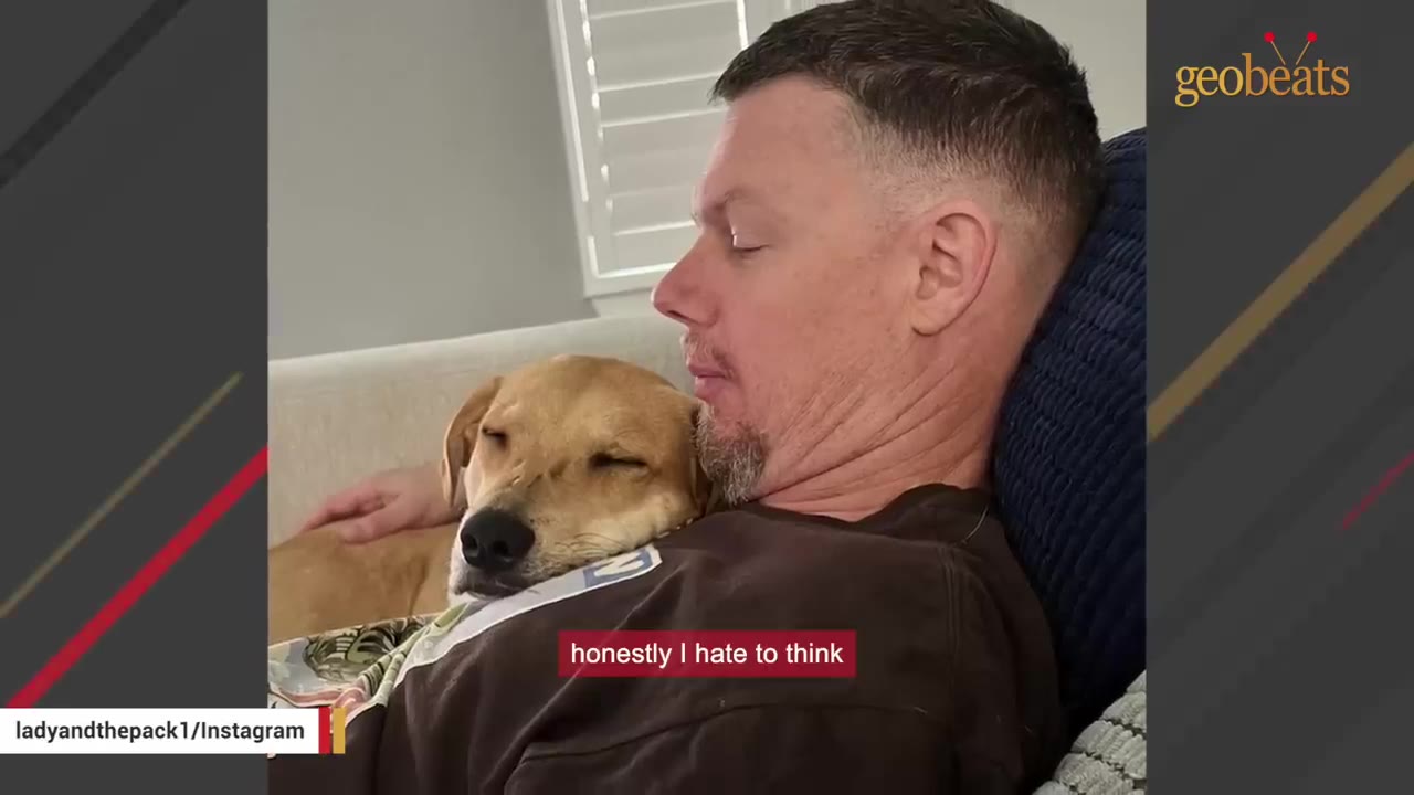 A yellow dog rests its head peacefully on a man's chest as he reclines on a couch.