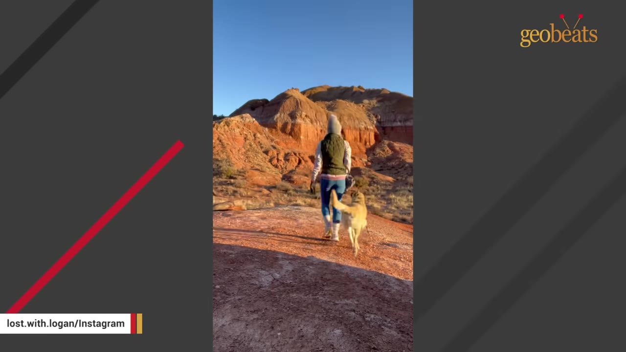 A person and a light-colored dog walk together on a red dirt path toward scenic red rock formations under a clear blue sky.