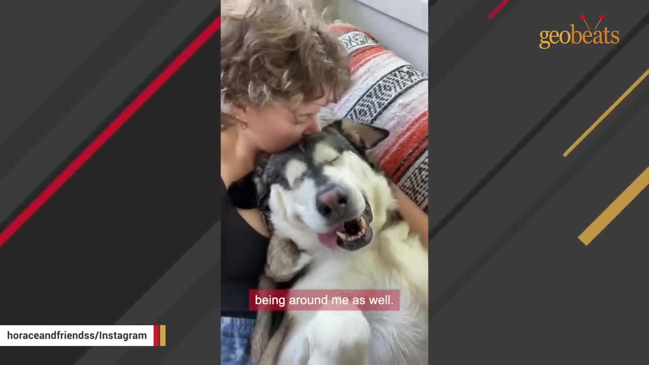 A person with short curly hair kisses a large, happy dog on the head as they cuddle together on a couch.