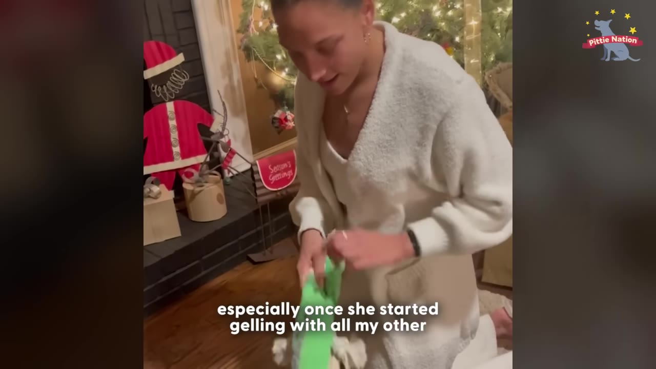 A woman wearing a white robe kneels in front of a Christmas tree, holding a green dog toy.