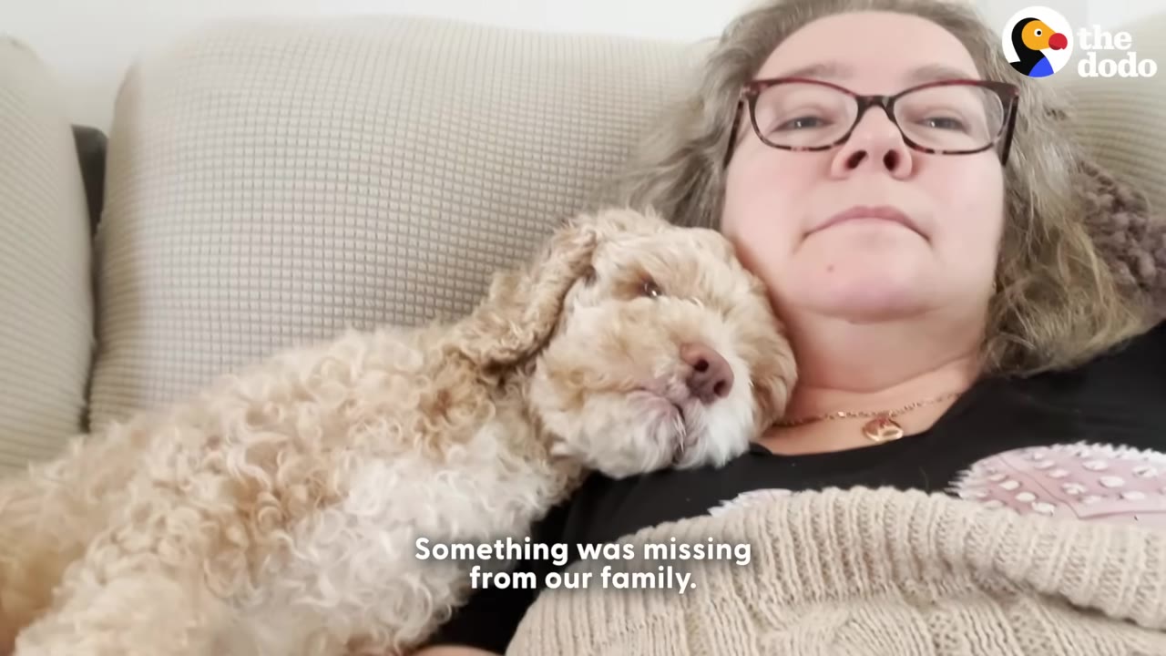 A woman with glasses lies on a couch with a fluffy, light brown dog resting its head on her shoulder.