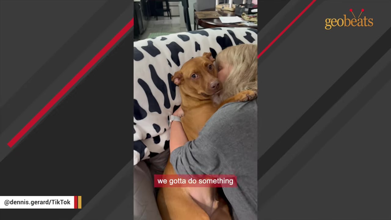 A woman with blonde hair hugs a brown dog on a couch with a cow-print blanket behind them.