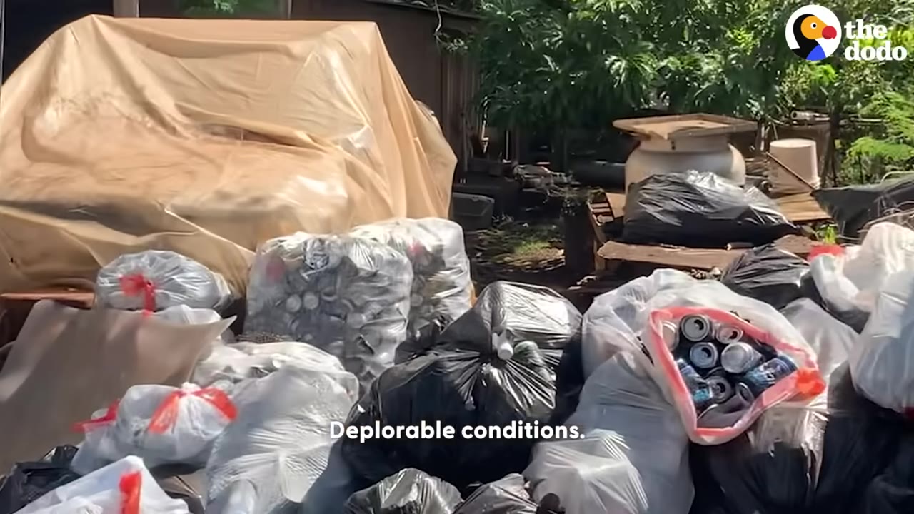 A cluttered outdoor area filled with numerous bags of trash, aluminum cans, and covered items, illustrating deplorable living conditions.