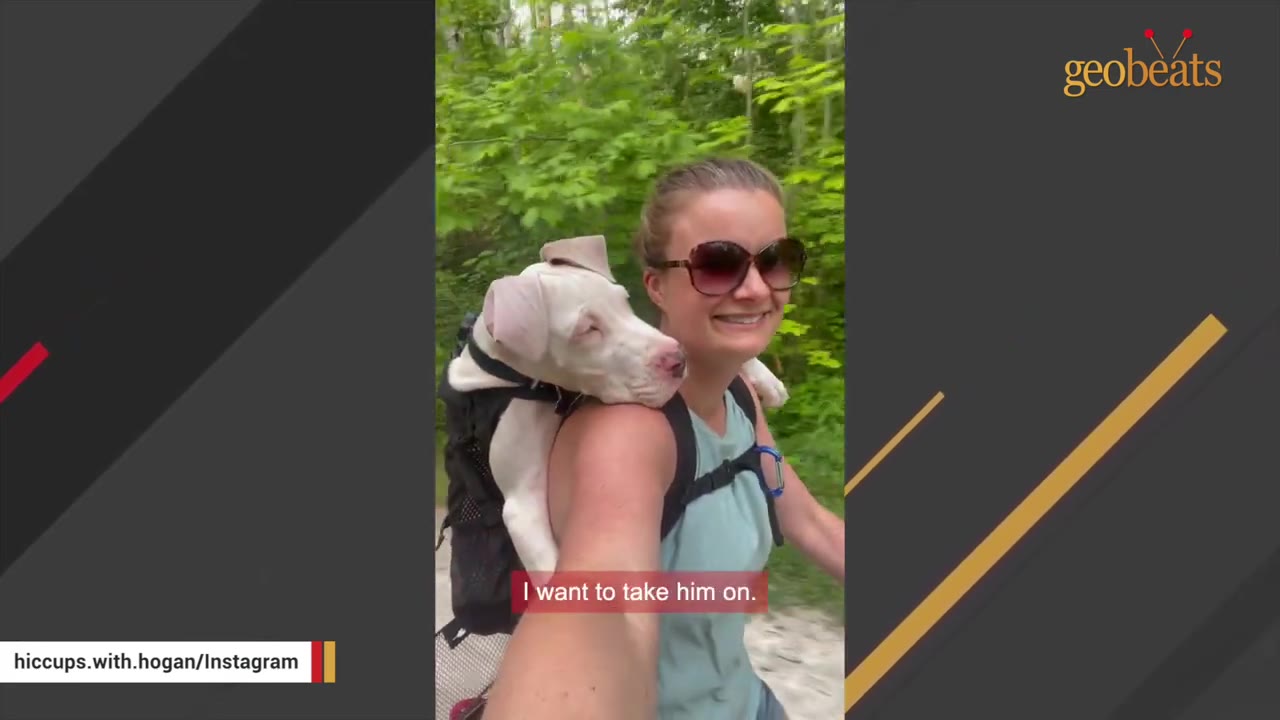 A smiling woman wearing sunglasses carries a white puppy in a backpack carrier on her back while outdoors.