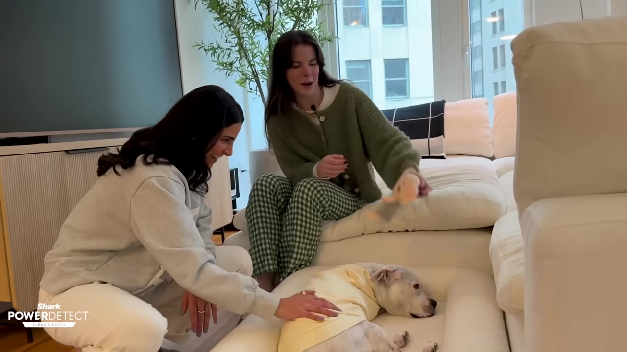 A white dog wearing a yellow shirt lies in a dog bed while two women sit nearby, one petting the dog and the other holding a plush toy.
