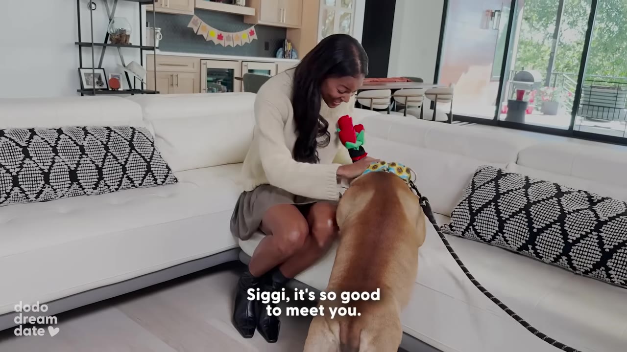 A woman sitting on a white sofa smiles as she greets a brown dog wearing a sunflower collar.