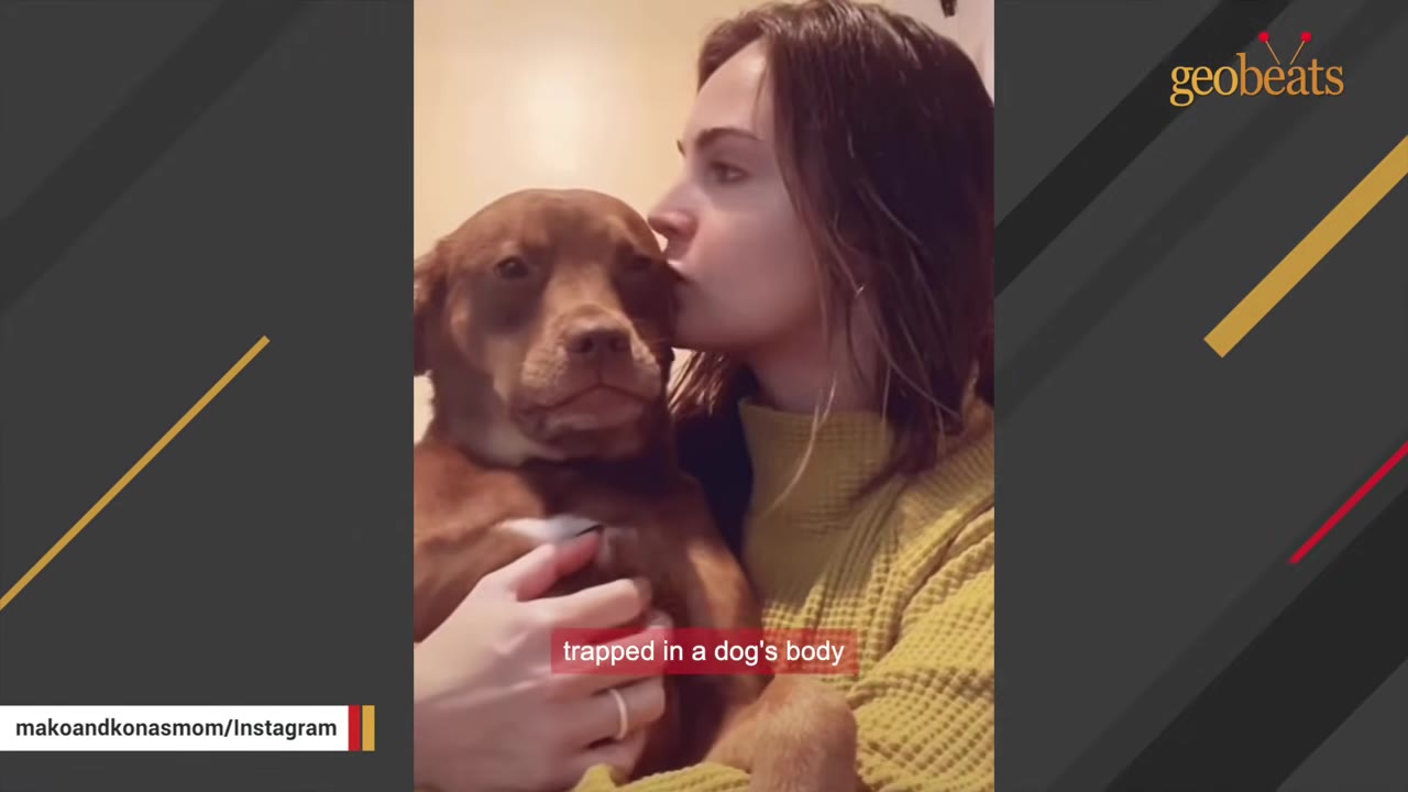 A woman kisses a brown dog on the head as the dog looks forward with a calm, knowing expression.