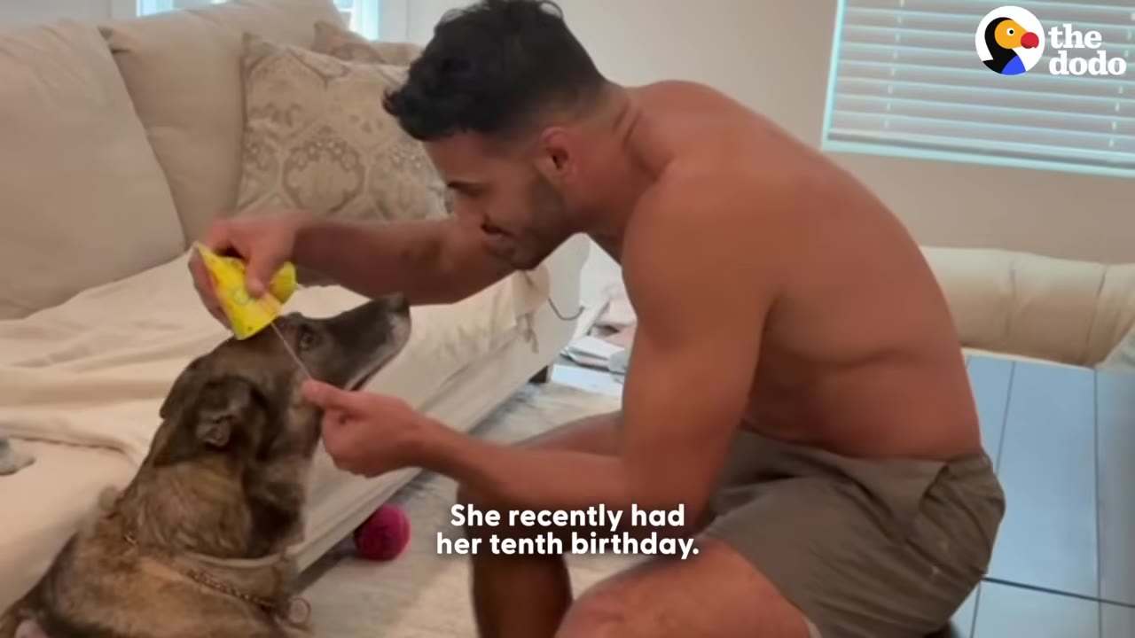 A man puts a yellow birthday hat on a senior dog sitting on the floor next to a couch, with text on screen reading 'She recently had her tenth birthday.'