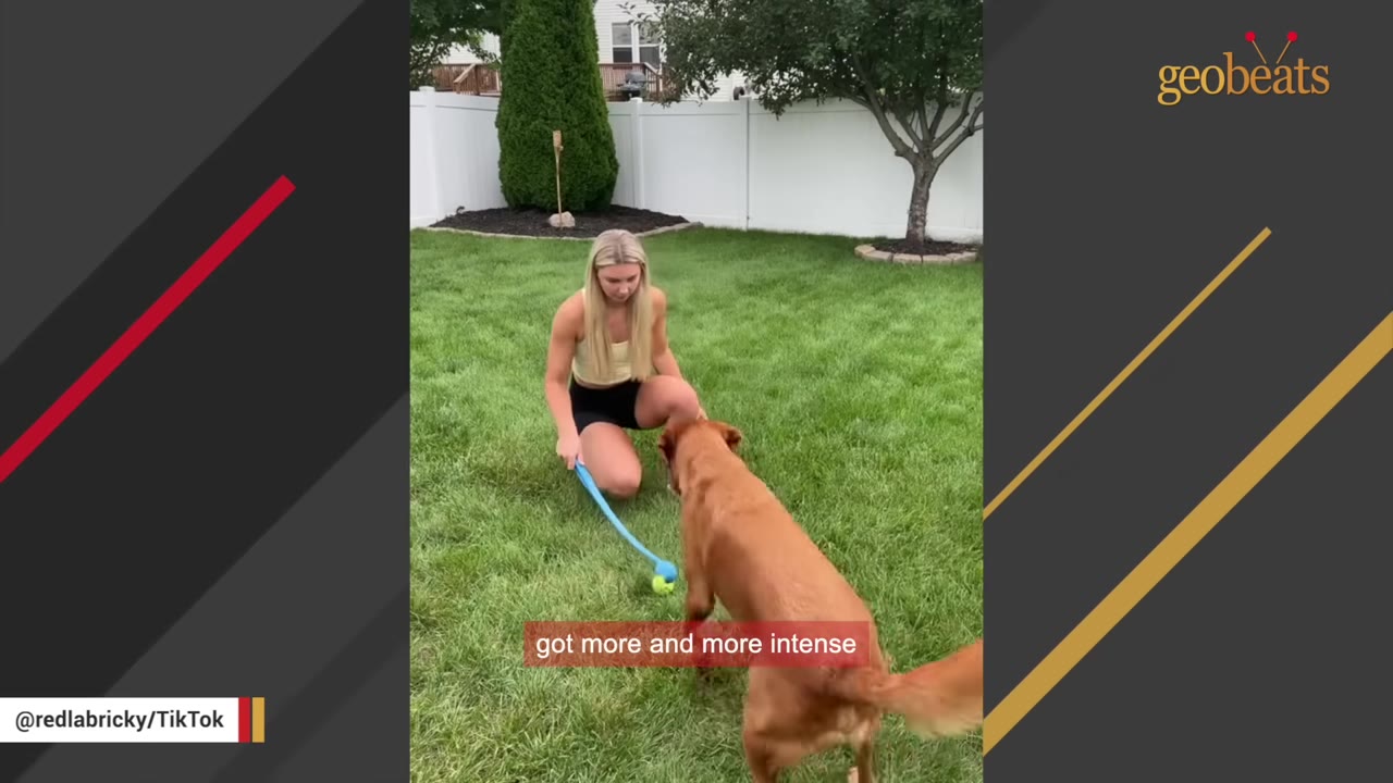 A woman kneeling on a green lawn holds a blue ball launcher with a tennis ball in it as a brown dog stands in front of her.