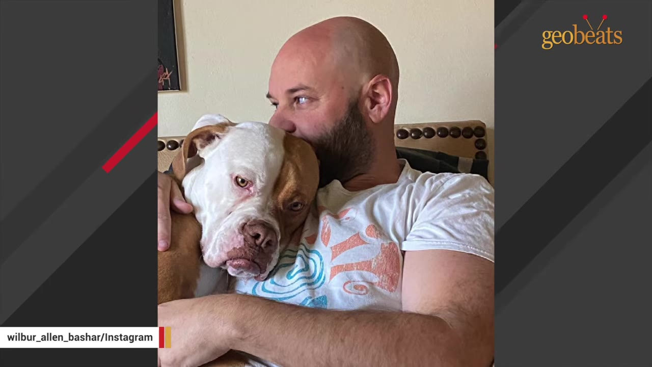 A bald man with a beard hugs a brown and white dog close to his chest.