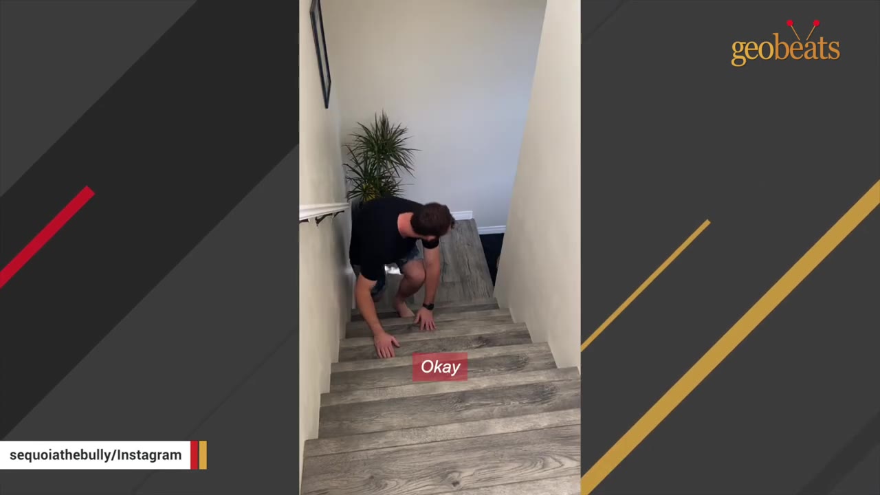 A man on all fours demonstrating how to climb a flight of wooden stairs inside a home.