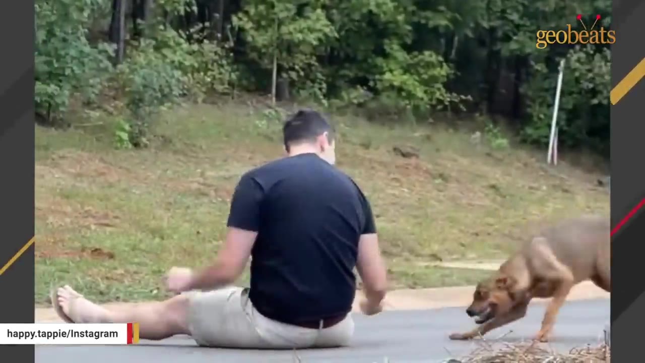 A man sits on the edge of a paved road near a grassy area as a brown dog cautiously approaches him.
